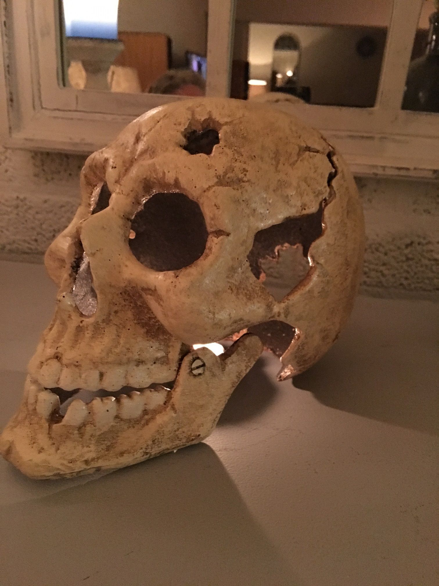1 grote anatomische schedel, uit gietijzer-white-rust